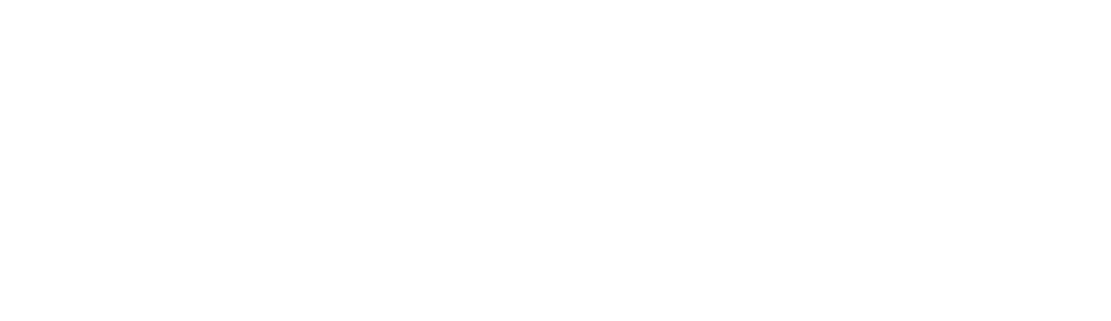 XI Digit Systems